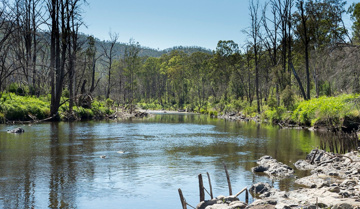 Warrandyte swimming spot